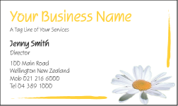 Business Card Design 465 for the Cleaning Industry.