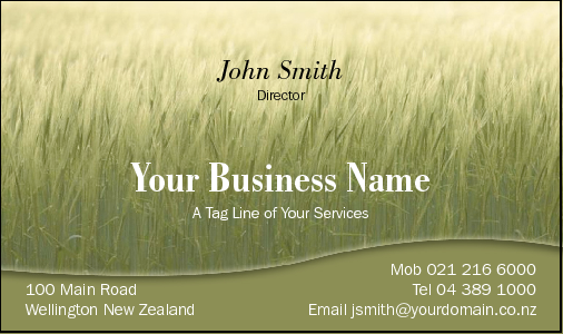 Business Card Design 2398