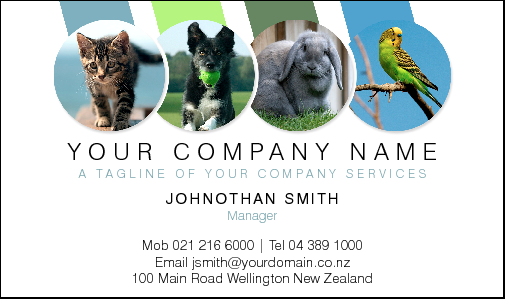 Business Card Design 4026