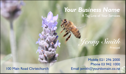 Business Card Design 2336